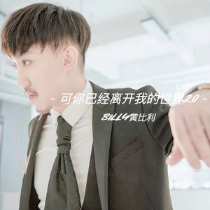 可你已经离开了我的世界2.0