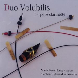 Danses Roumaines: 6. Maruntel