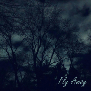Fly Away