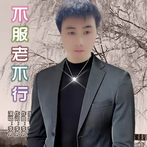 不服老不行 (DJ苏平版)