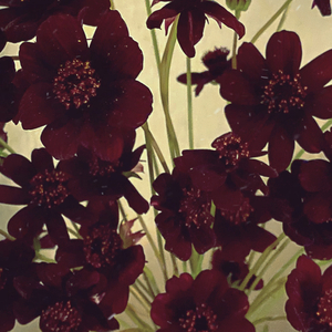 안녕 그대 안녕(Acoustic Ver.)