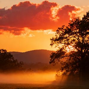 不是我偏爱独身