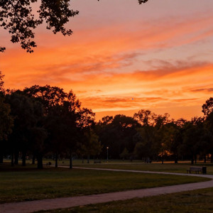 你是我撞碎南墙的荒唐 (动感版)