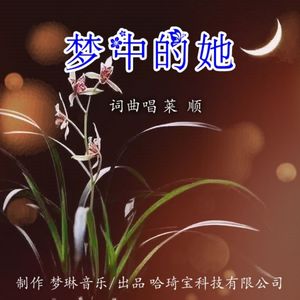 梦中的她