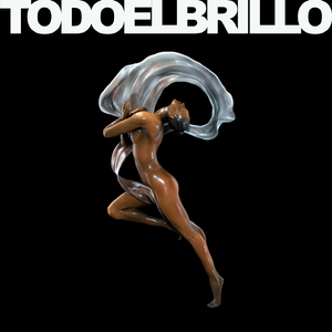 Todo el Brillo