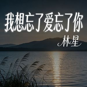 我想忘了爱忘了你