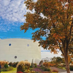 一人撑伞两人行