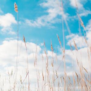 回想18岁的夏天