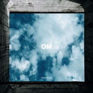ОМ