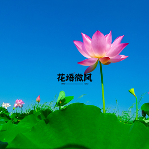 沉醉星夜 (晨练)