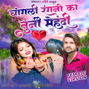 Changli Rangnika Tuni Mehandi (Lofi)