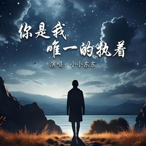 你是我唯一的执着