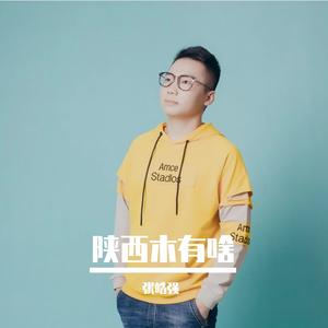 陕西木有啥（翻自 群星）