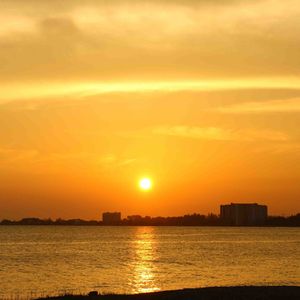 迷人的姑娘 伴奏