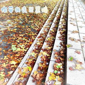 你带我走出黑暗