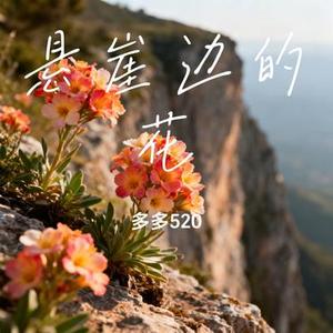 悬崖边的花