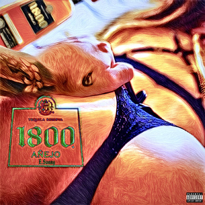 ANEJO