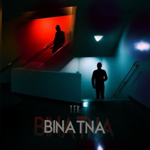 BINATNA