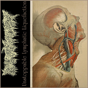 Unstoppable Lymphatic Liquefaction