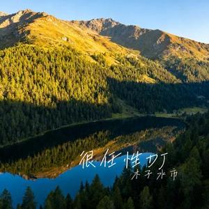 很任性DJ (Cover 千百顺)