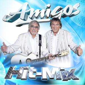 Amigos Hit-Mix 2008: Du bist der helle Wahnsinn / Es war der Sommerwind / Ich hol dir vom Himmel die Sterne / Wenn ein Engel durch die Hölle geht