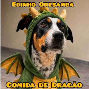 Comida de Dragão