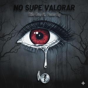 No Supe Valorar (feat. Kilo One Ft Puma Rg)