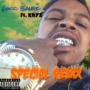 Special (feat. Kryz) (Remix)