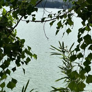 而你所期待的是