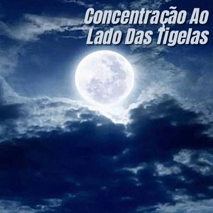 Concentração Ao Lado Das Tigelas