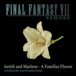 Aerith and Marlene - A Familiar Flower (from "Final Fantasy VII Remake")
