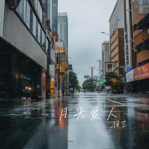 真感情