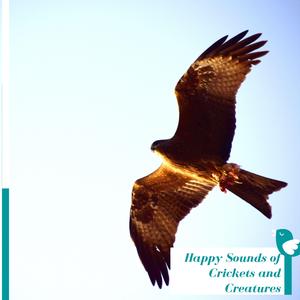 Tales of a Mocking Bird