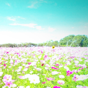 降り続けた雨に咲いた華 (リミックス)