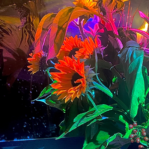 Utopia (voice memo version)