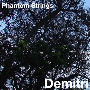 Phantom Strings