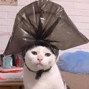 S2&40(Prod. Furyl, 4_Chords)