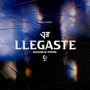 Llegaste