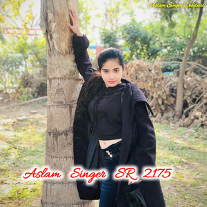 Aslam Singer Sr 2175