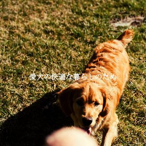 Office Days - Feelings