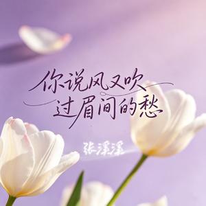 你说风又吹过了眉间的愁