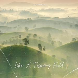 Like A Tuscany Field (Extended Mix)