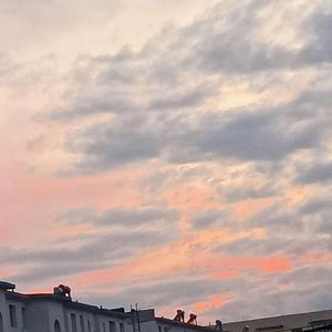 同桌的你(2019青岛大学毕业典礼)