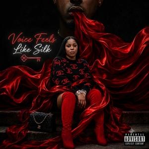 Voice Feels Like Silk