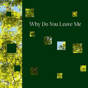Why Do You Leave Me