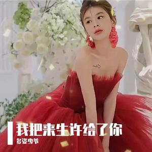 我把来生许给了你