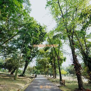 酒店容易点爵士