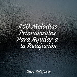 Ligereza Y Suavidad