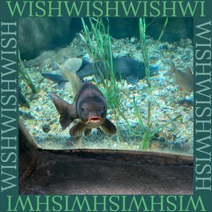 Wish