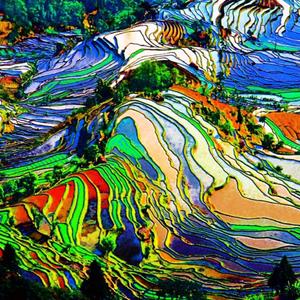 go to sleep, dad's tryna get a nut